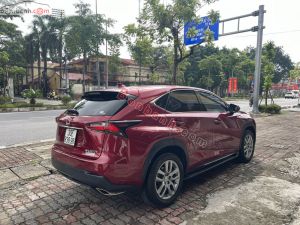 Xe Lexus NX 200t 2016
